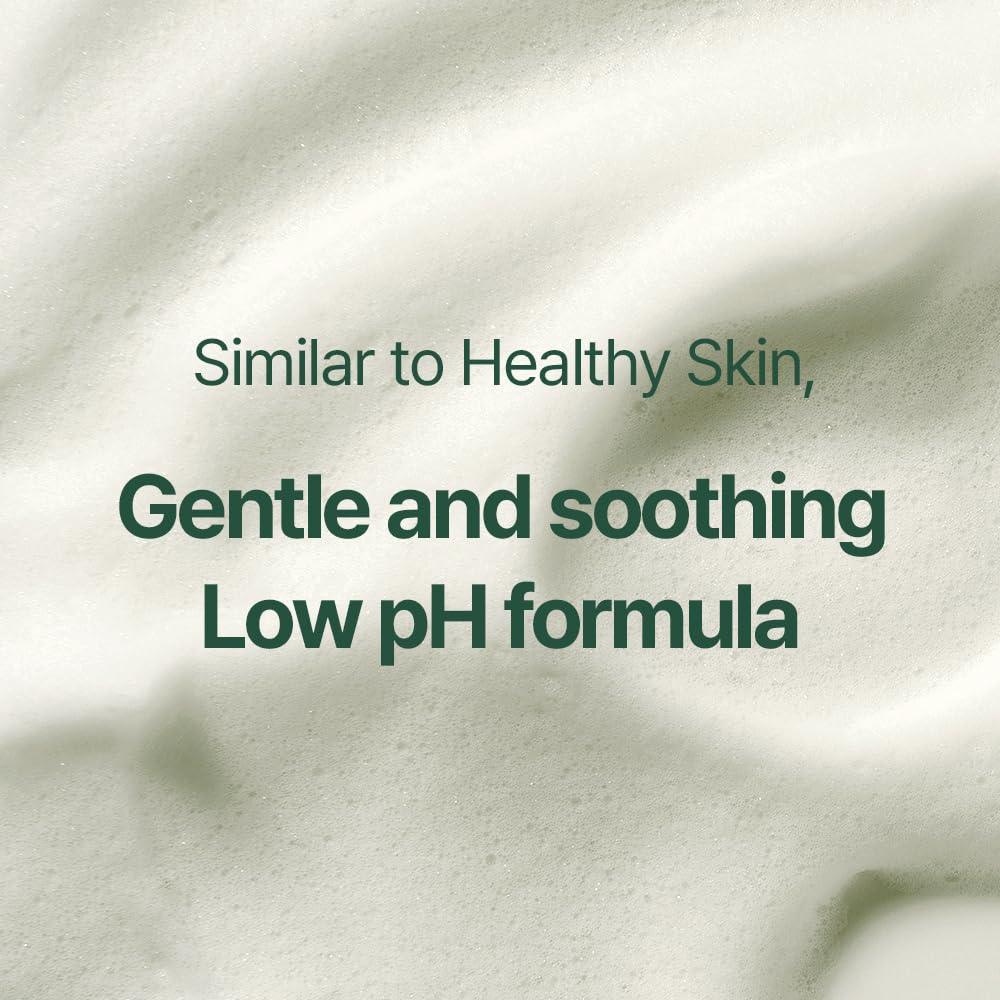 Pyunkang Yul PKY Calming Cleansing Foam with Cica, Tea Tree Extract 3.38 Fl.oz