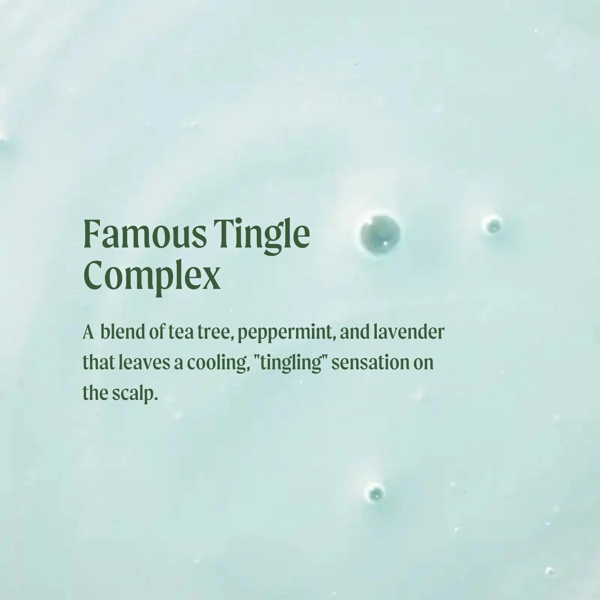 Tea Tree Special Shampoo 33.8 fl. oz.