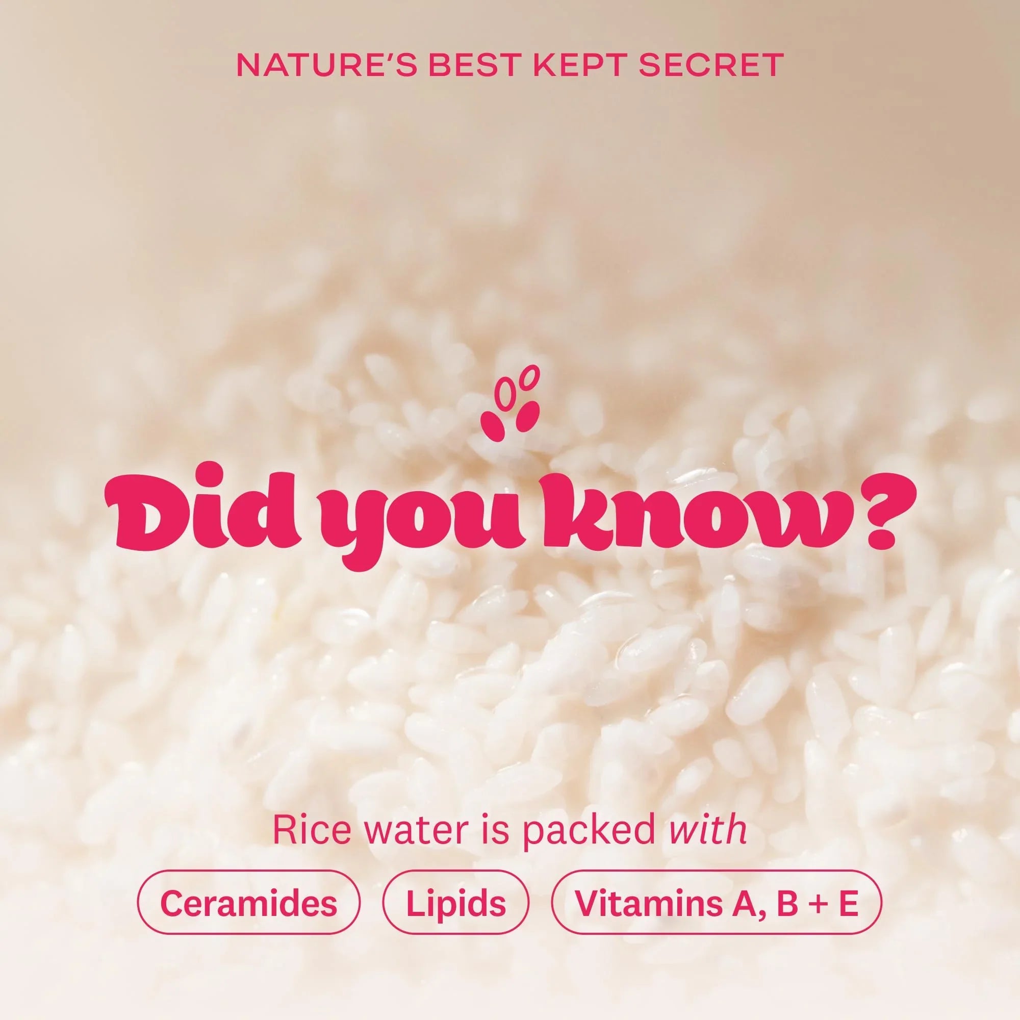 The Face Shop Rice Water Bright Foaming Facial Cleanser with Ceramide