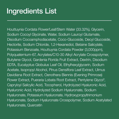 ANUA Heartleaf Quercetinol Pore Deep Cleansing Foam Facial Cleanser - Image 4