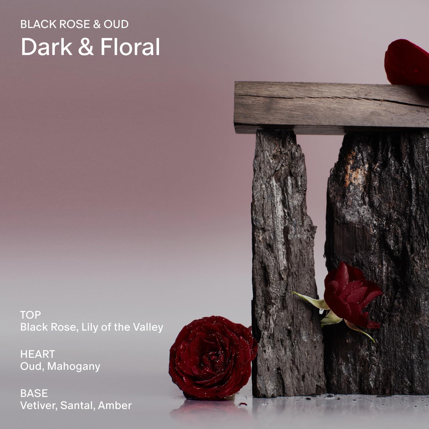 Salt & Stone Black Rose & Oud Deodorant