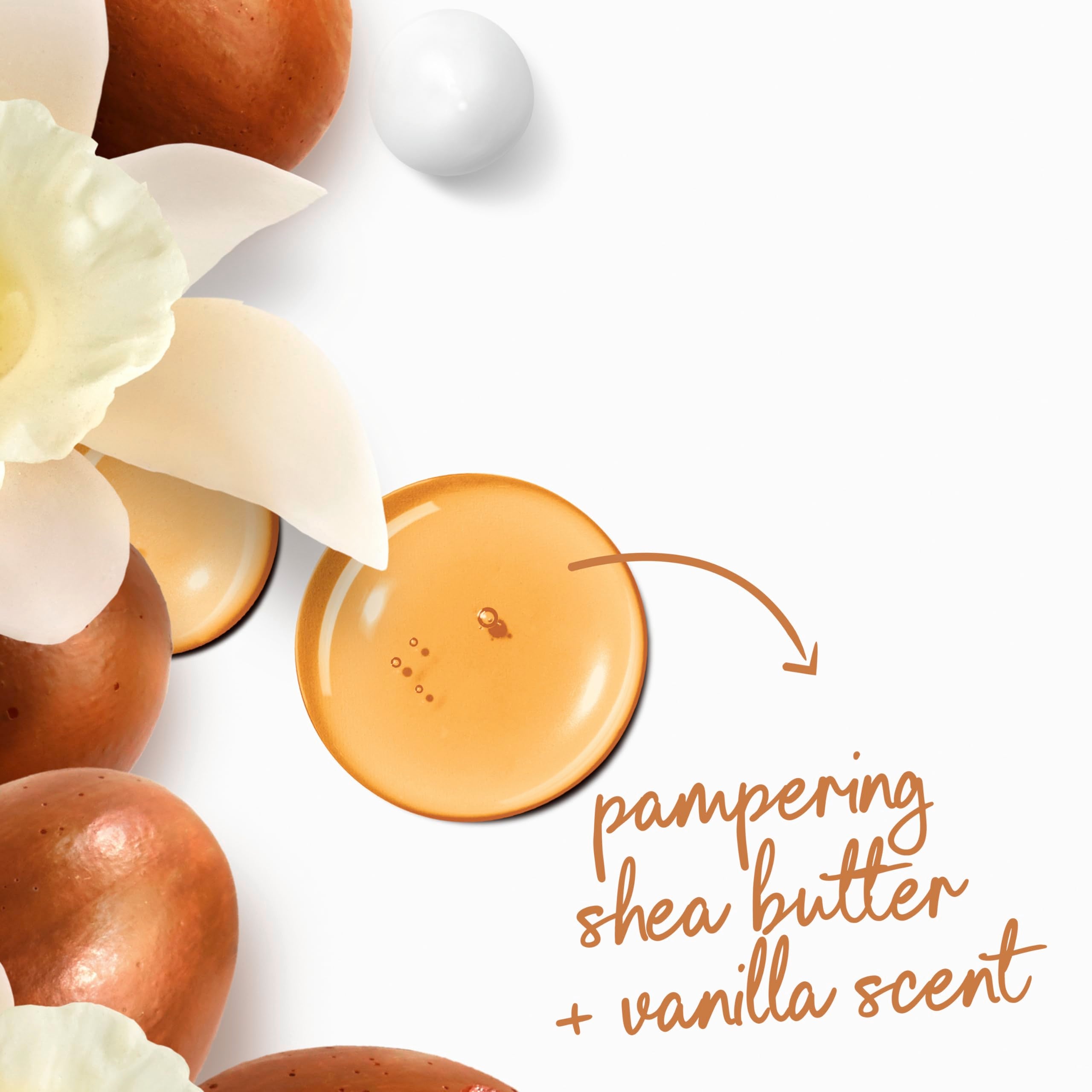 Dove Shea Butter & Vanilla Body Wash