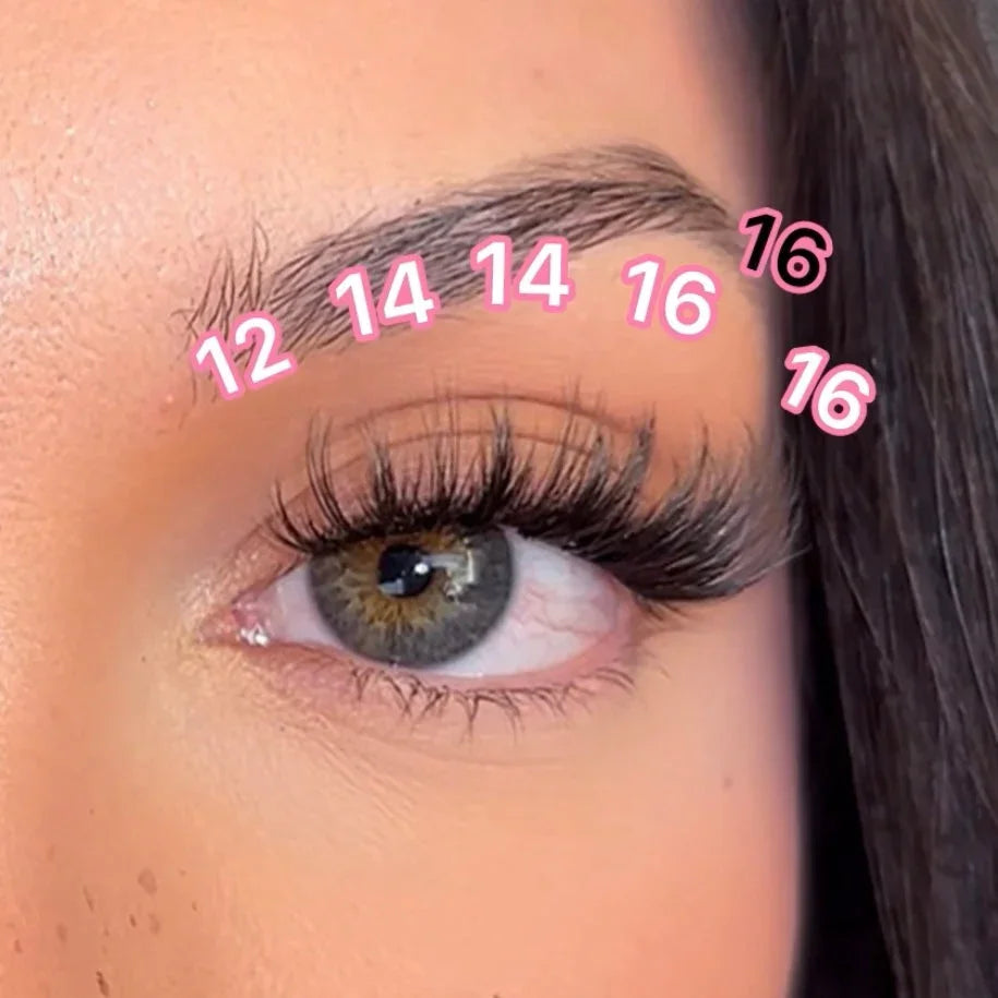Pink Purée Starry Eyes