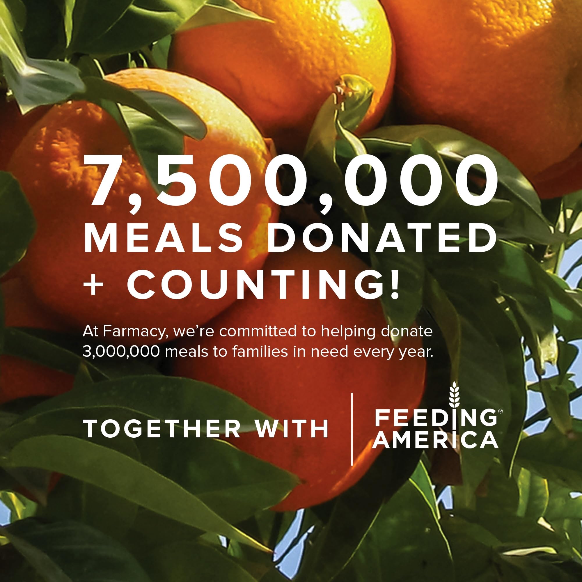 Farmacy Creamy Face Cleanser