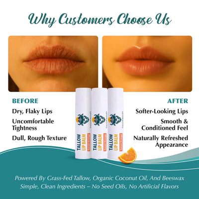 Tallowbourn Moisturizing Tallow Lip Balm – Variety Pack – 3-Pack - Image 4