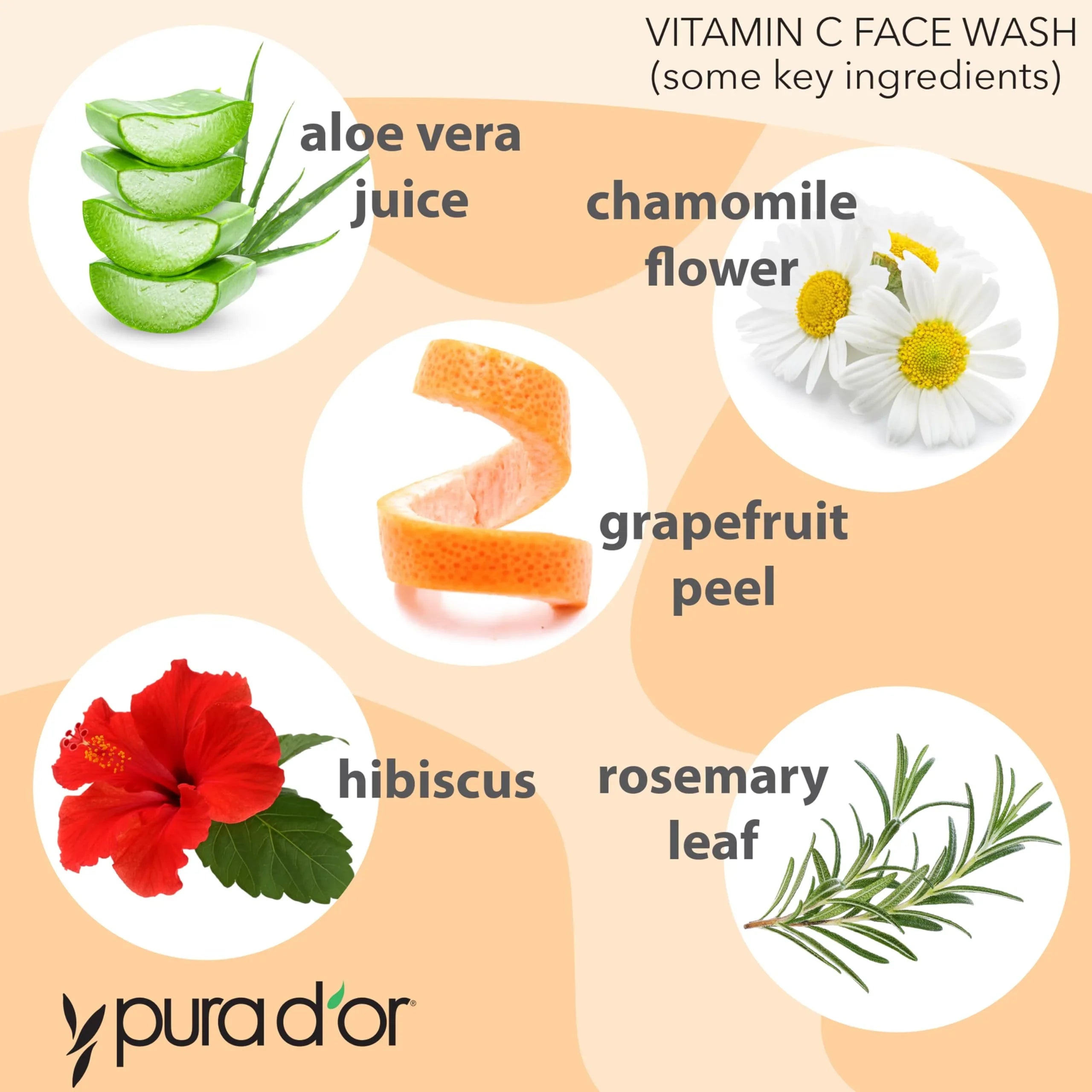 PURA D'OR 8 Oz Vitamin C Face Wash - All Skin Types