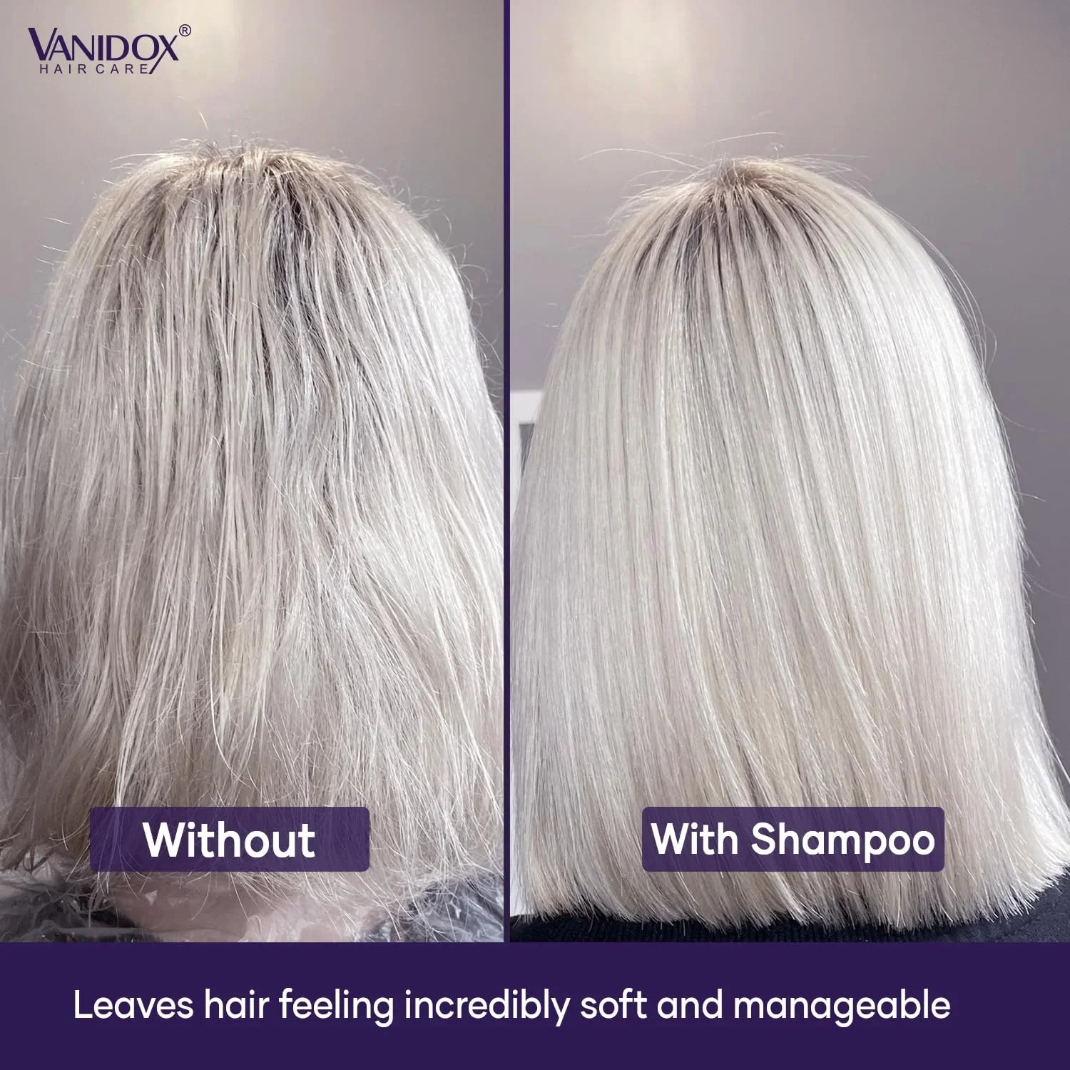 VANIDOX Purple Shampoo and Conditioner Set