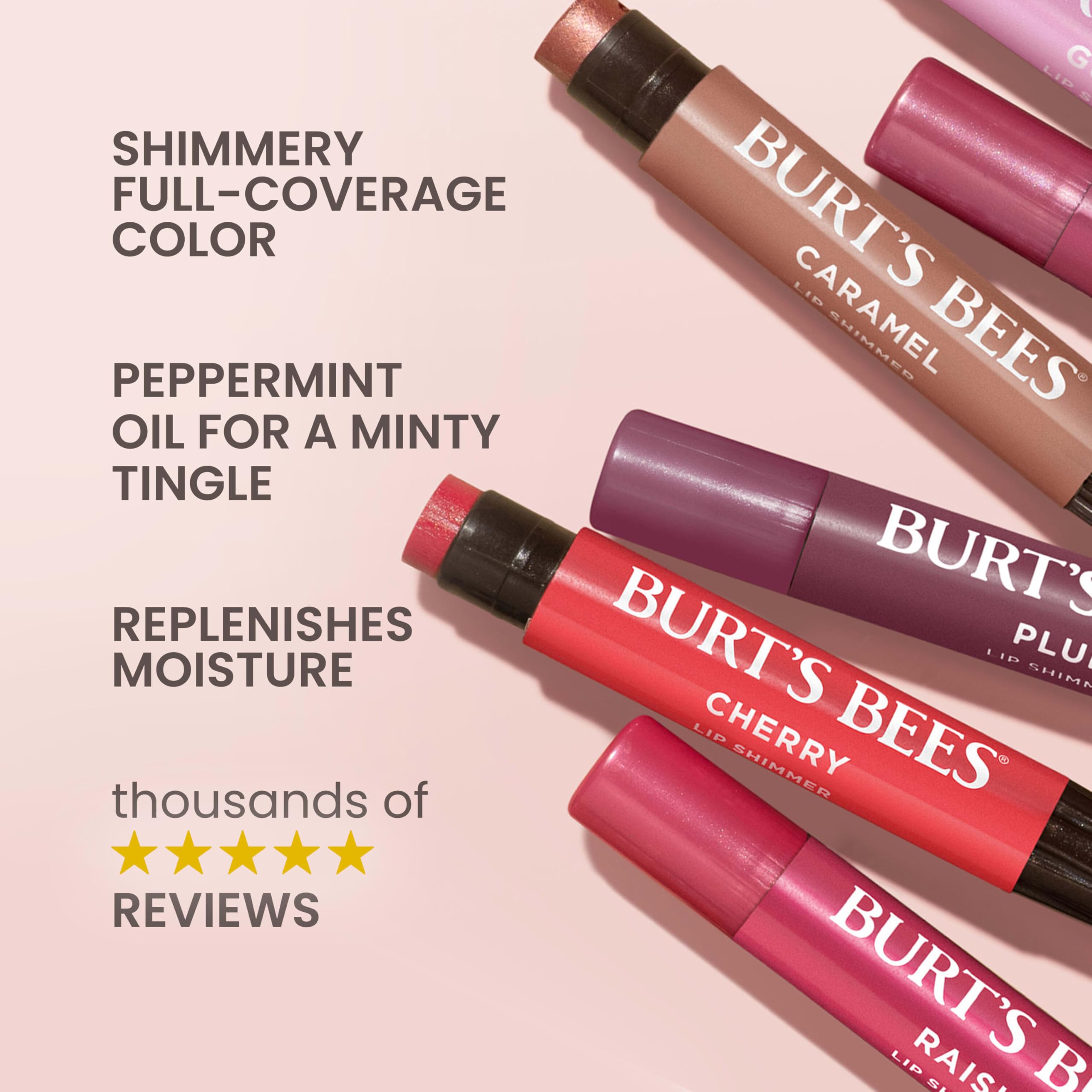 Burt's Bees Nude Collection Lip Shimmer