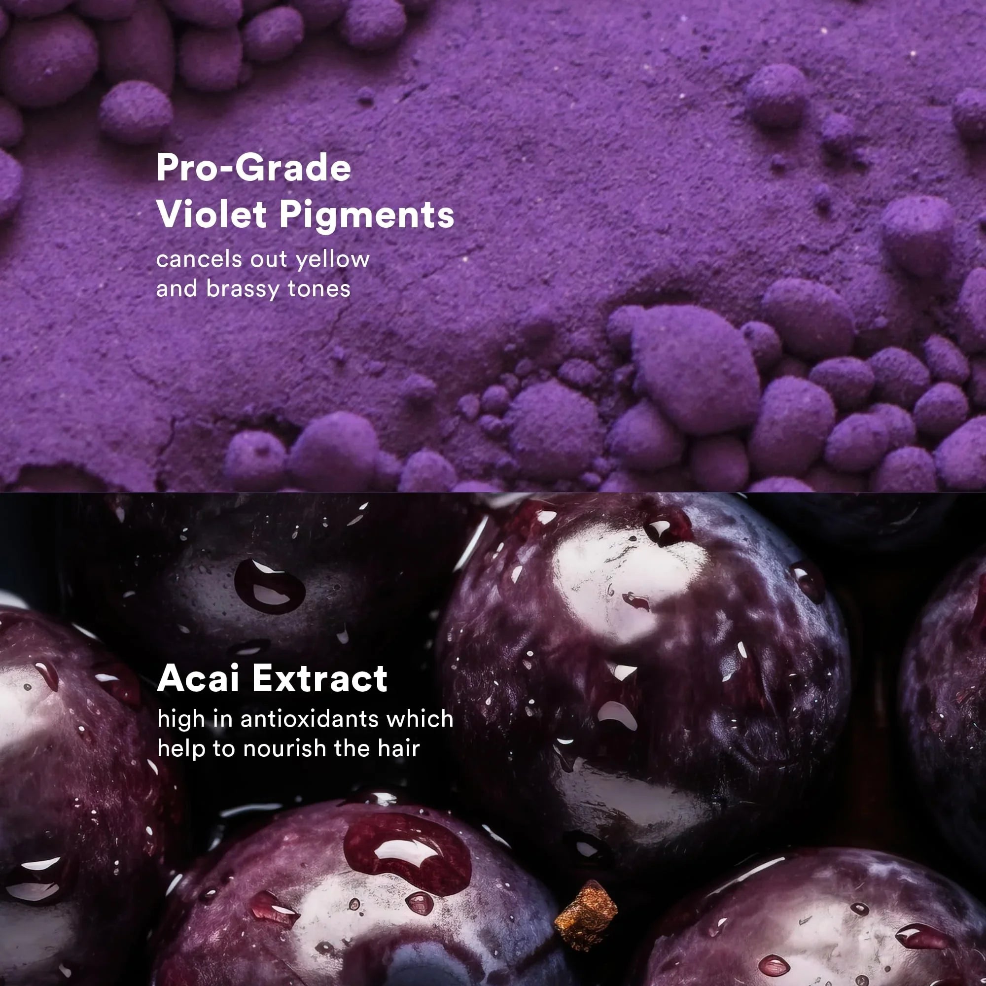 VERB Purple Shampoo