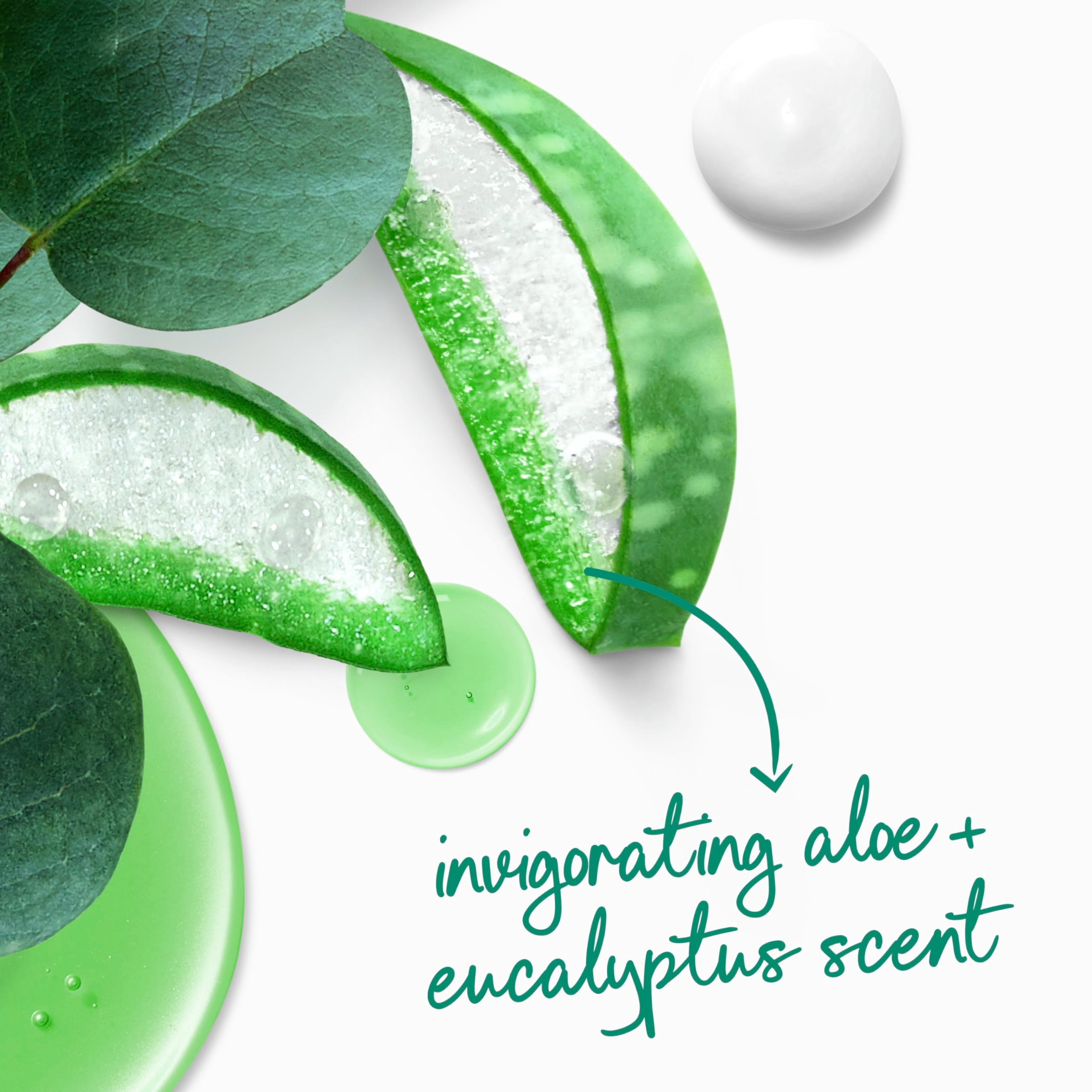 Dove Aloe & Eucalyptus Body Wash