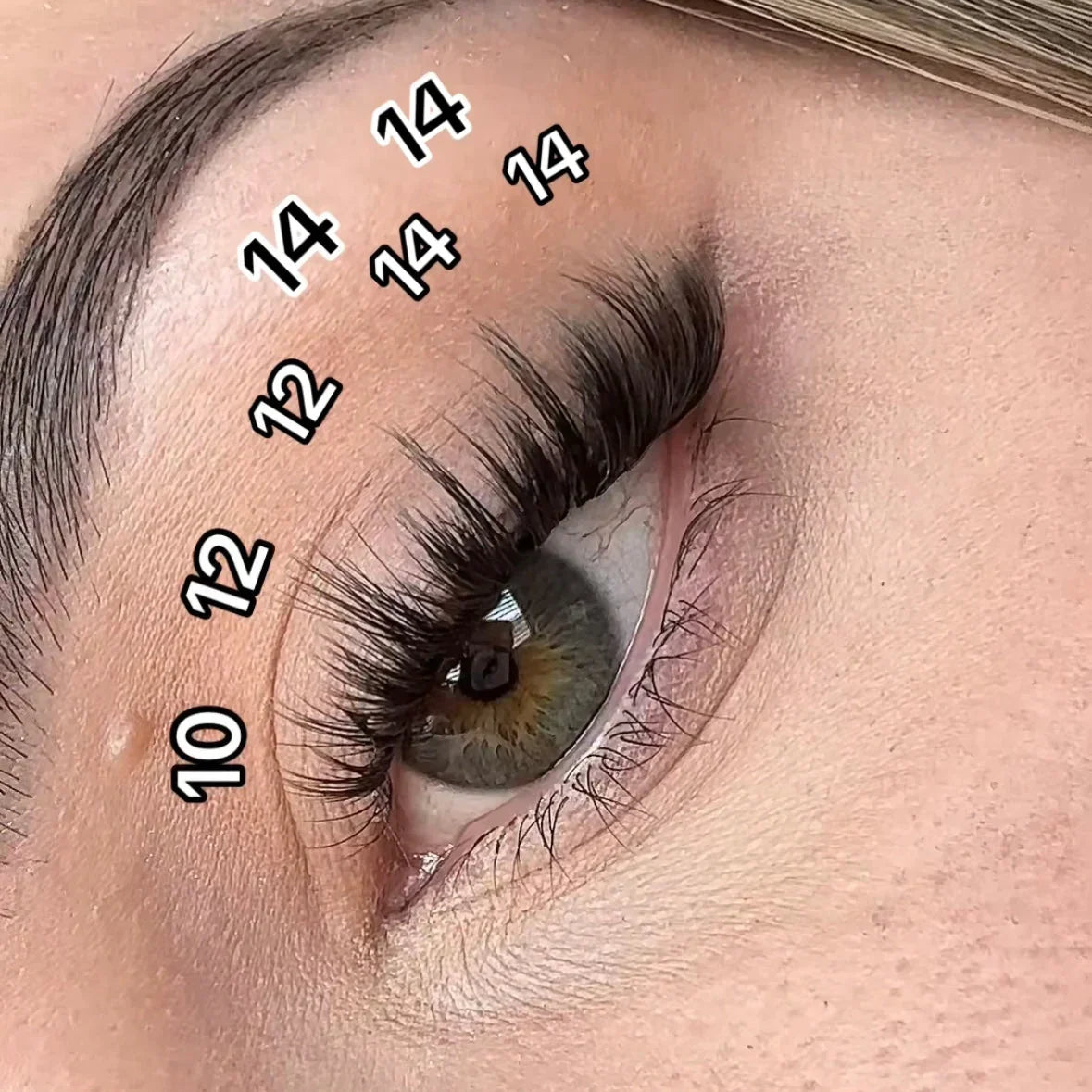 Pink Purée Starry Eyes