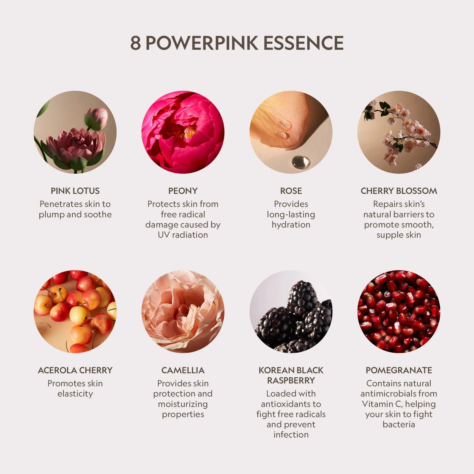 YENSA Pink Lotus Peptide Renewal Face Cream