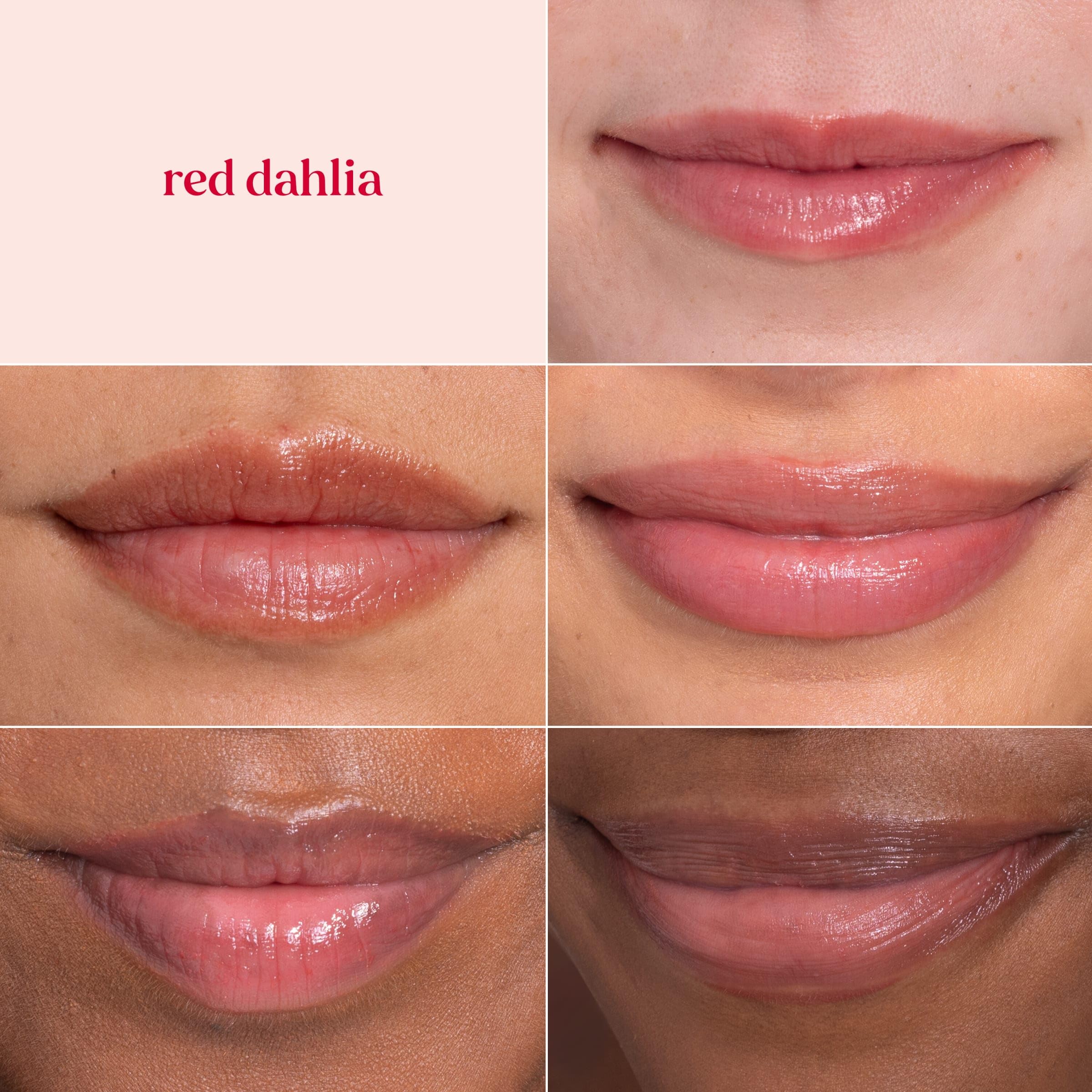 Burt's Bees Red Dahlia Lip Tint Balm