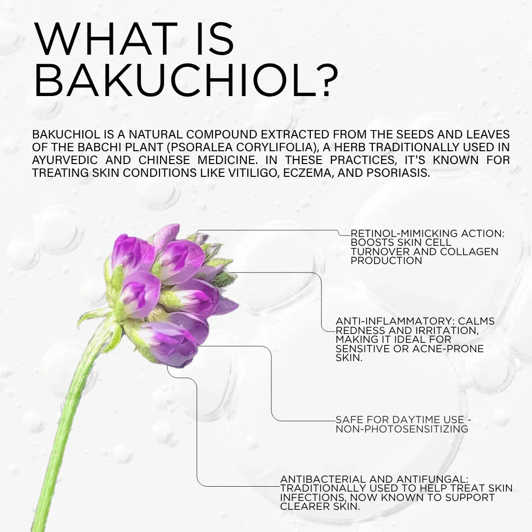 DCL Skincare Bakuchiol Night Cream
