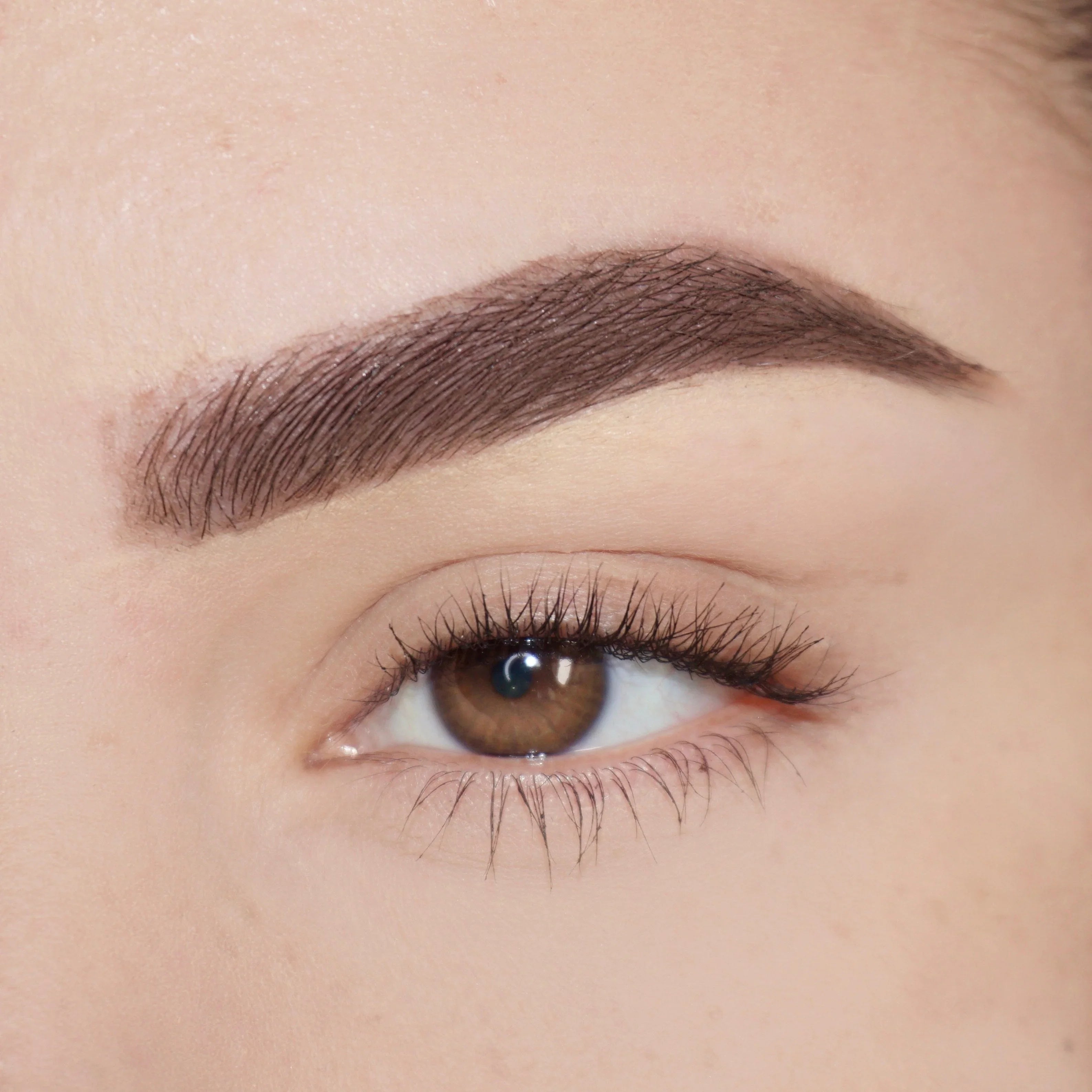 Pink Lipps Co Brow'd Up Brow Pencil