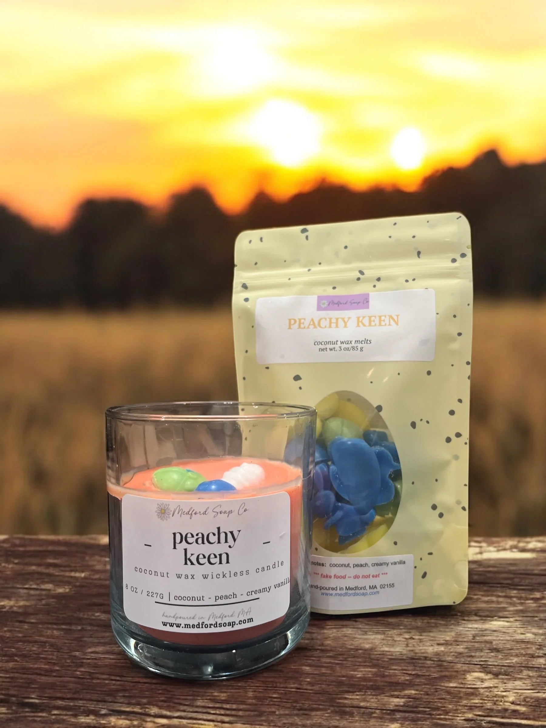 Medford Soap Co. Wickless Candles & Wax Melt Cups