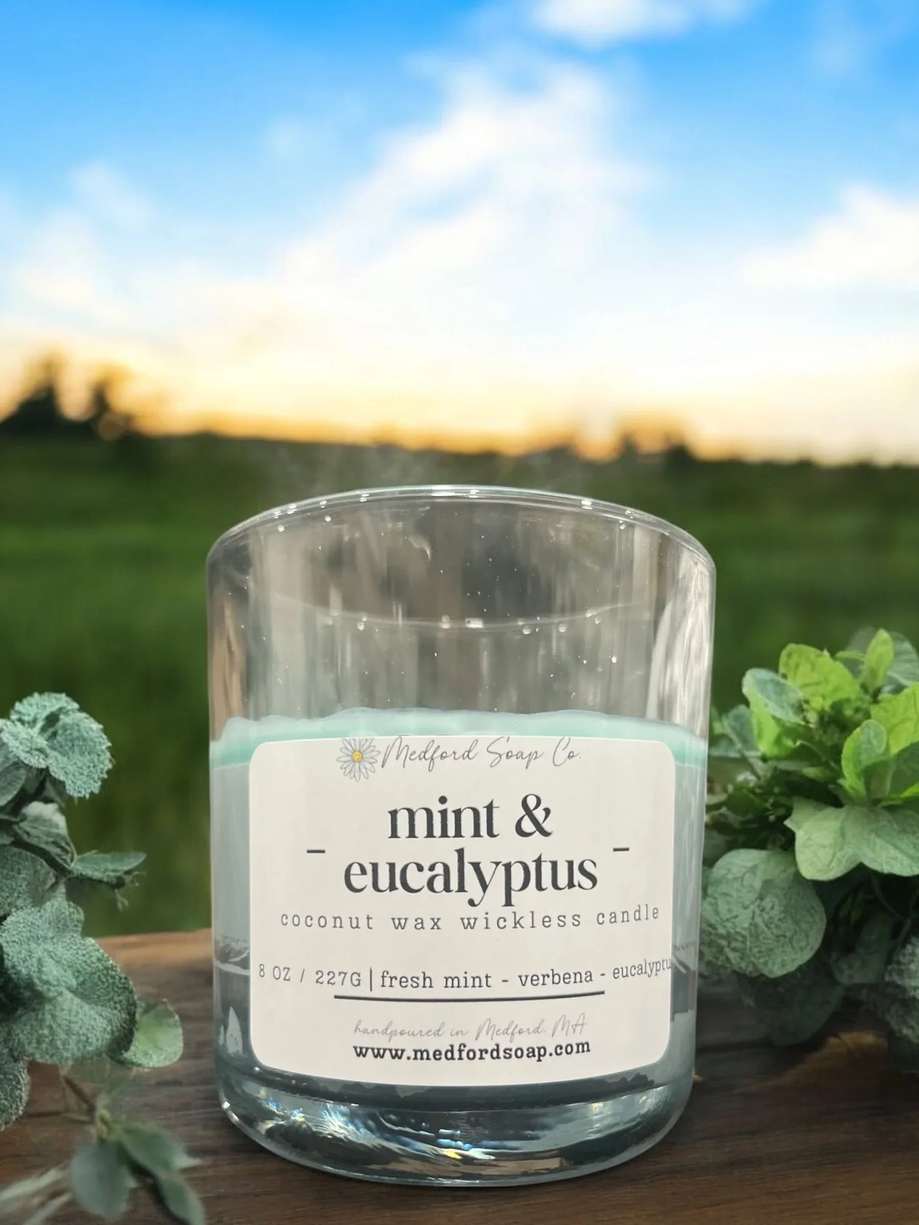Medford Soap Co. Wickless Candles & Wax Melt Cups