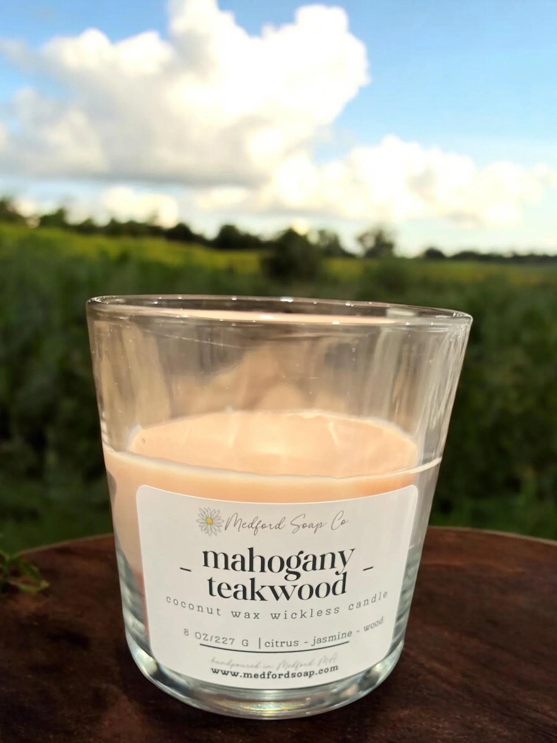 Medford Soap Co. Wickless Candles & Wax Melt Cups
