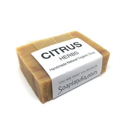 Soaplandia Citrus Herbs Bar Soap, Organic - Image 4