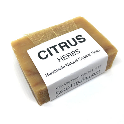 Soaplandia Citrus Herbs Bar Soap, Organic - Image 2