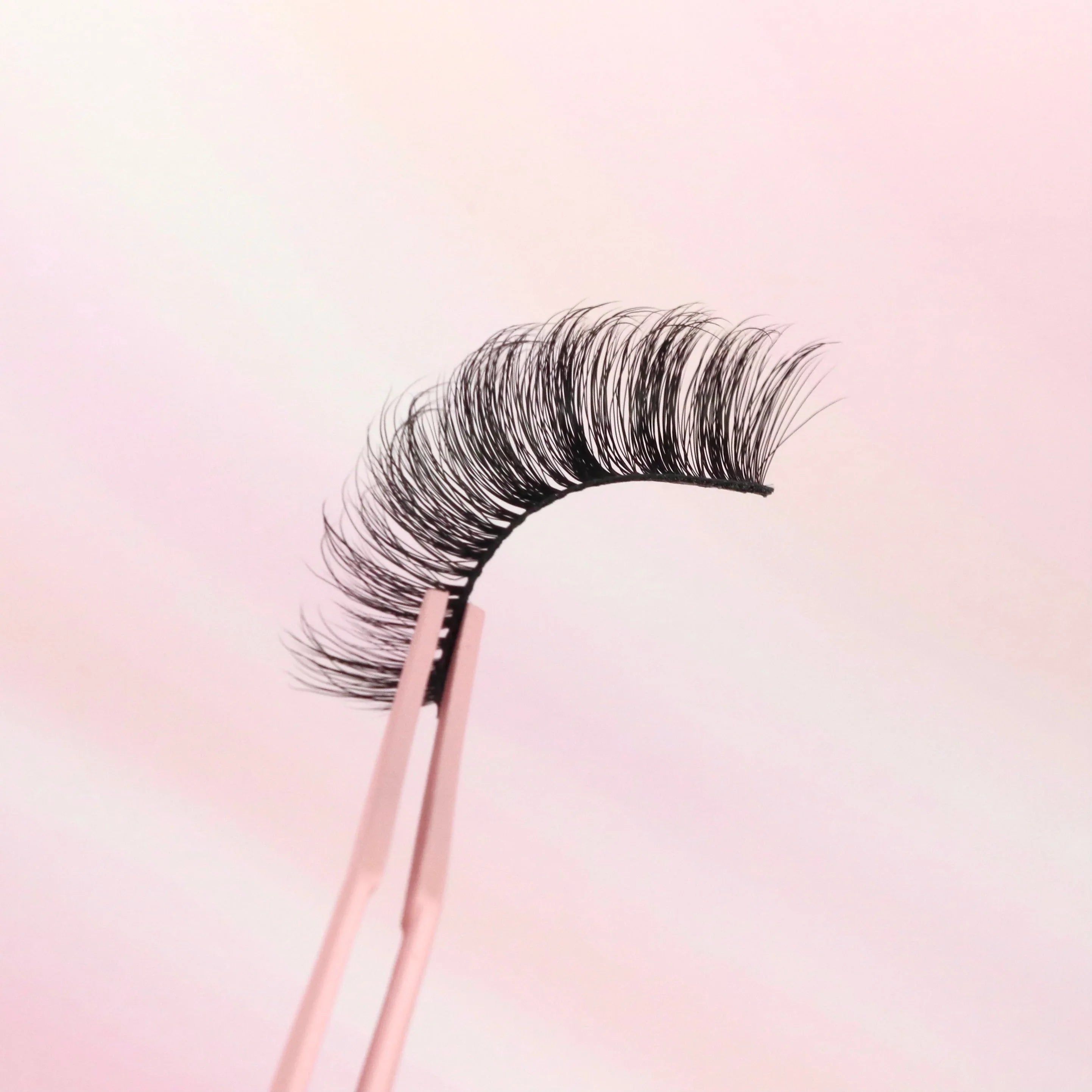 Pink Purée Lily