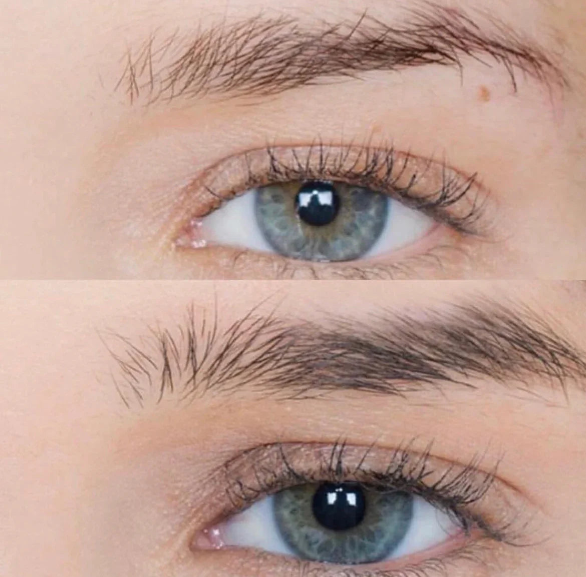 LASHFOOD Eyebrow Enhancing Serum, 3 Month Supply