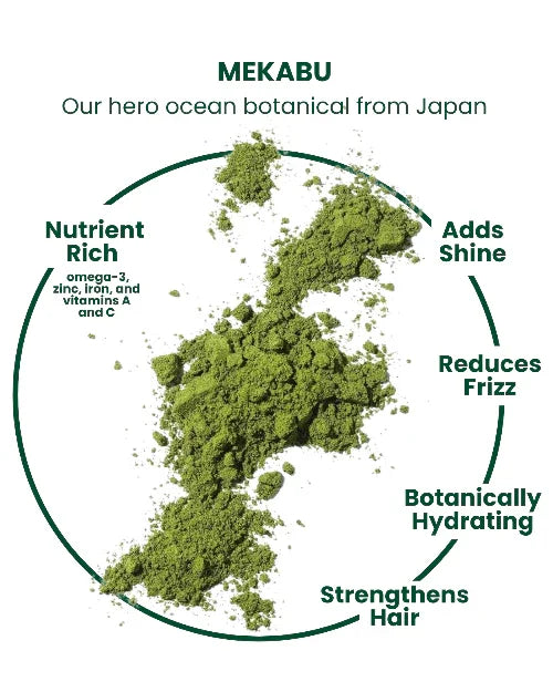 Masami Mekabu Hydrating Shampoo Refill