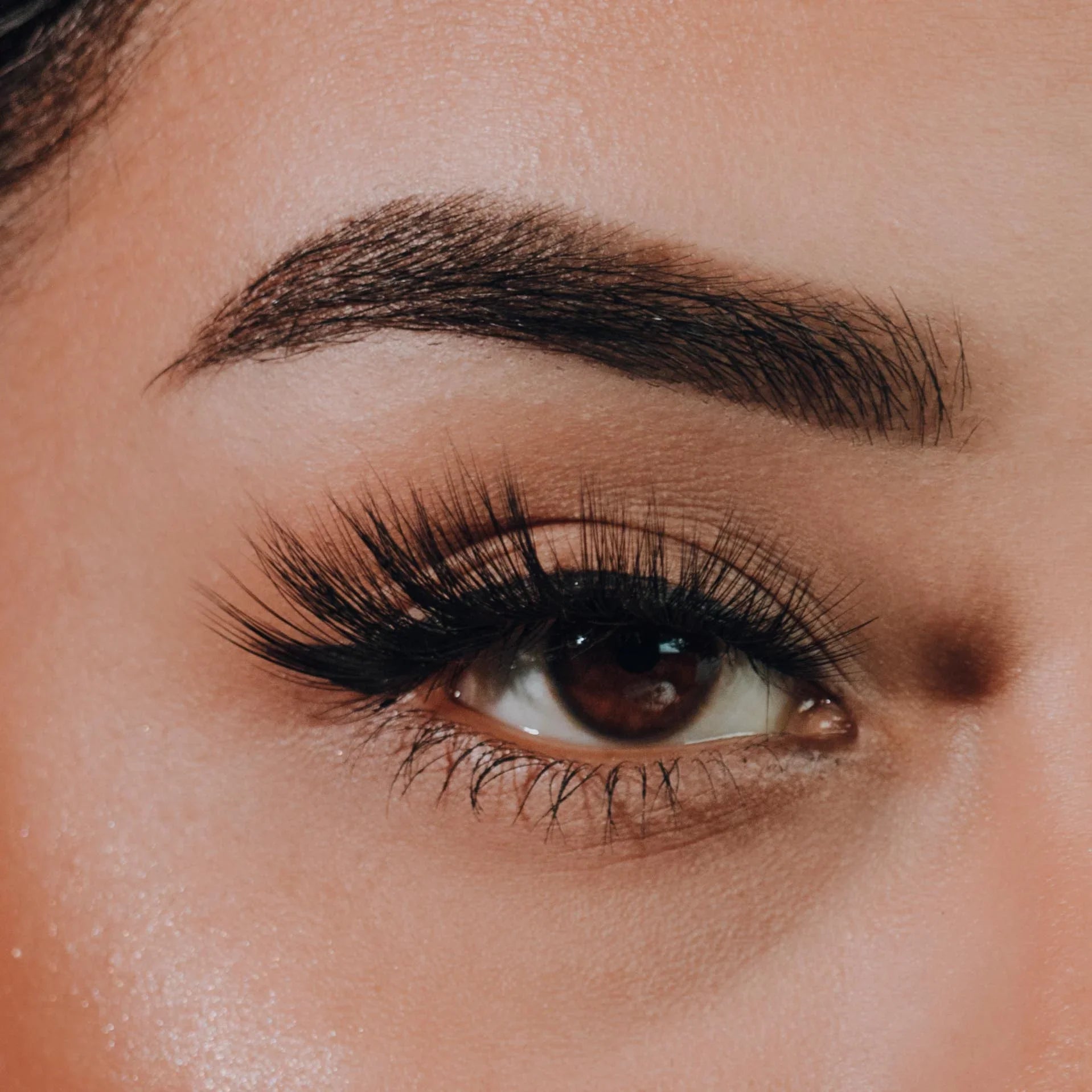 Chula Beauty Chacalosa | Tapered Cat-Eye Full Fluffy 18-22mm