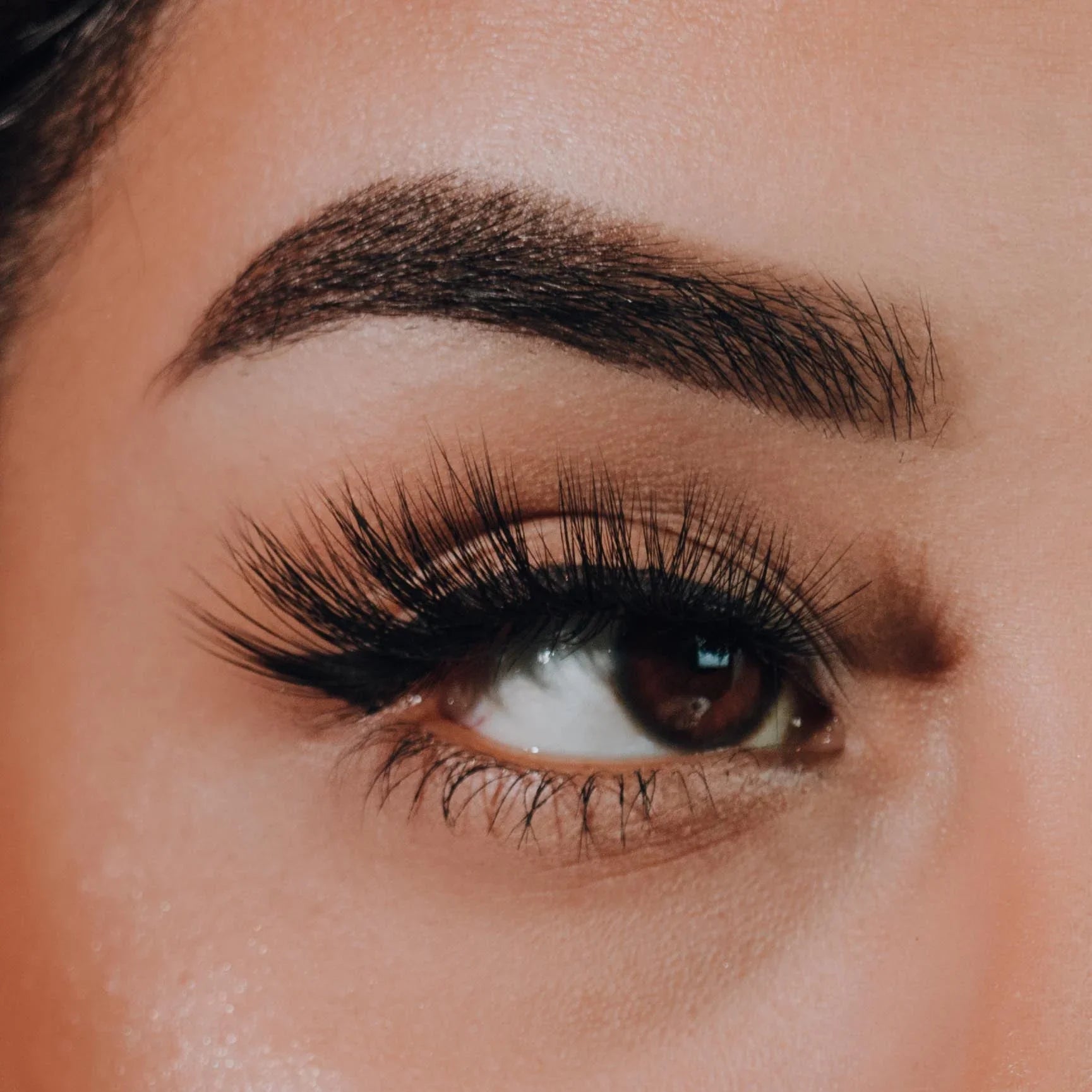 Chula Beauty Chacalosa | Tapered Cat-Eye Full Fluffy 18-22mm