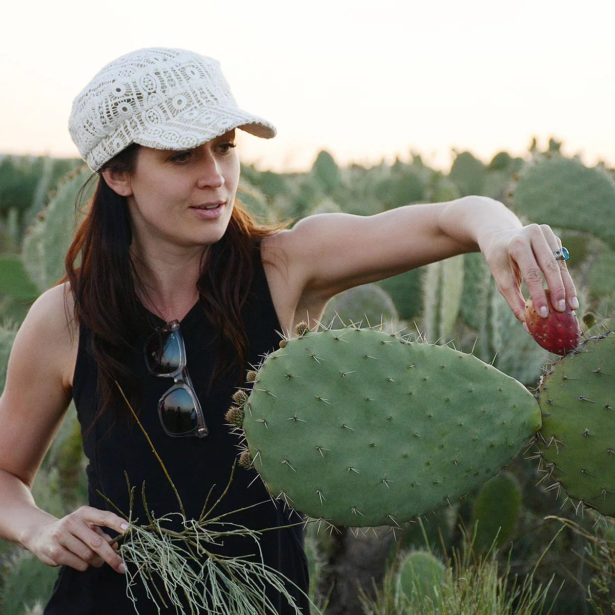 Katari Beauty Barie | Prickly Pear Cactus Seed Oil