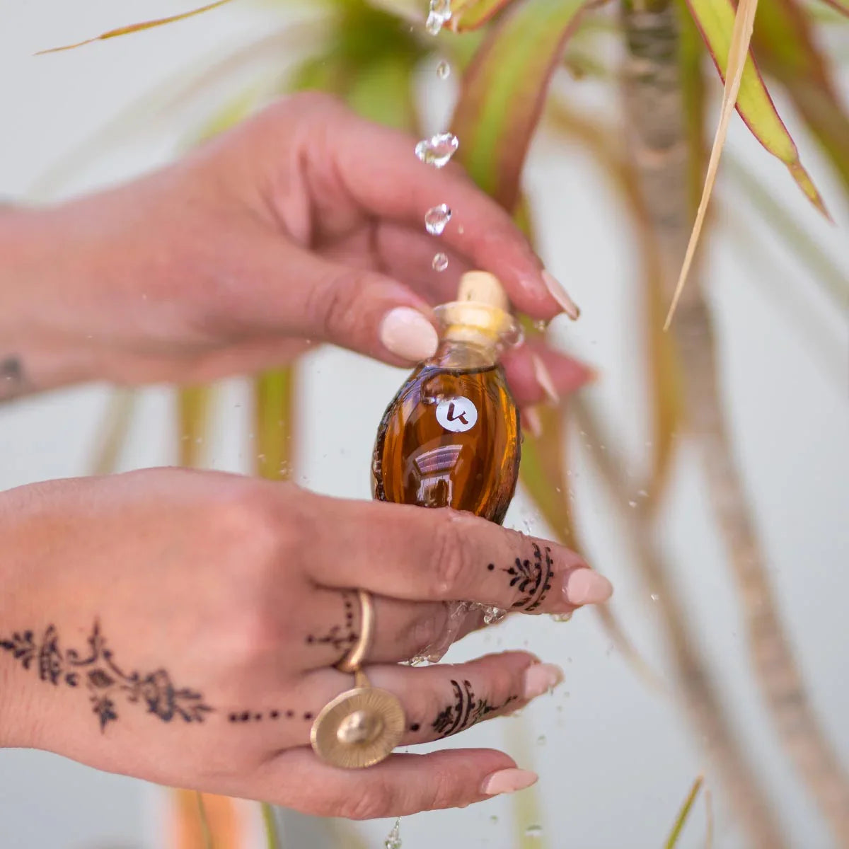 Katari Beauty Black Seed Oil - Acne Fighting & Clear Skin
