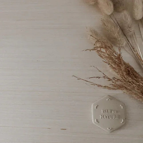 Masami Pagua Bay Scent Coin by Isle de Nature