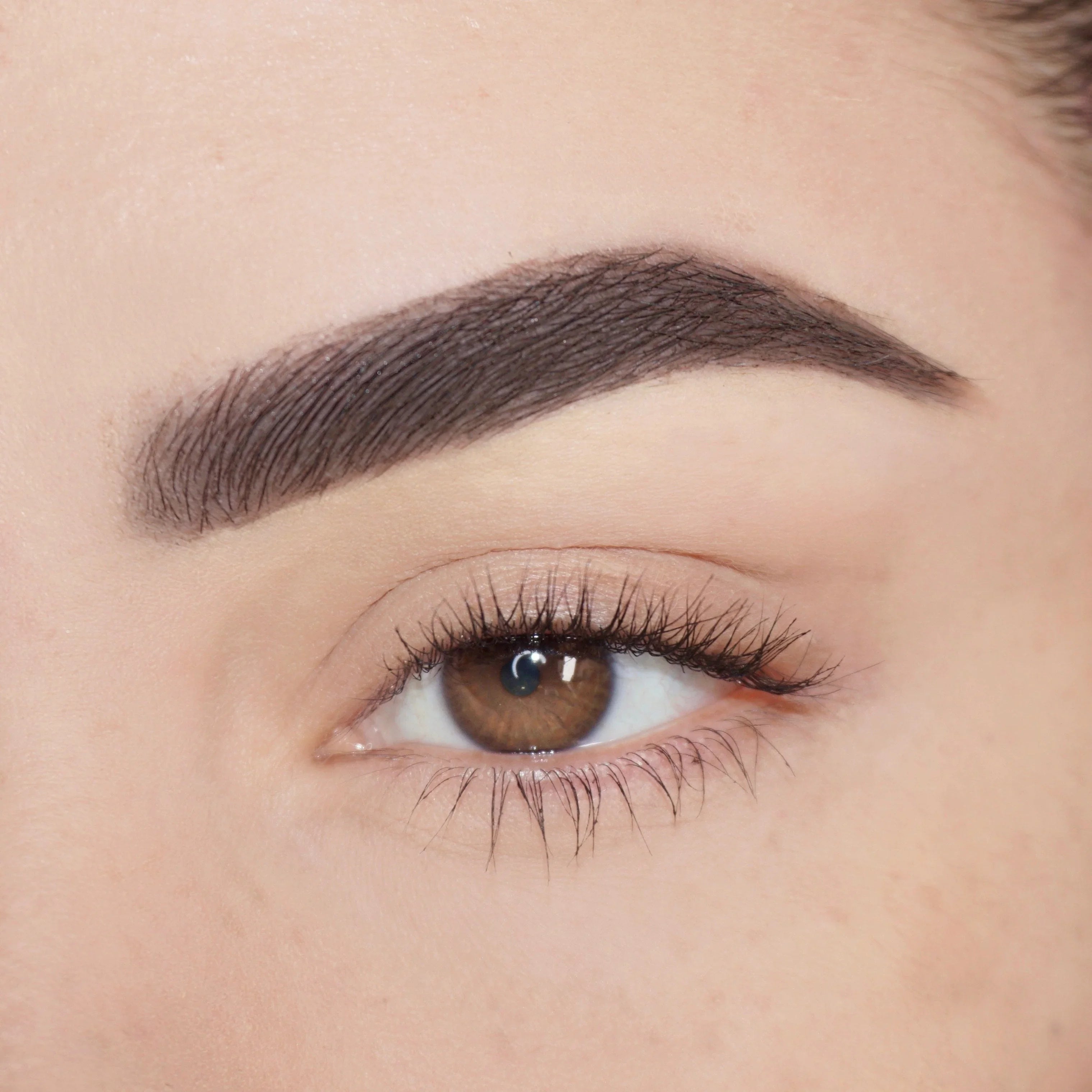 Pink Lipps Co Brow'd Up Brow Pencil