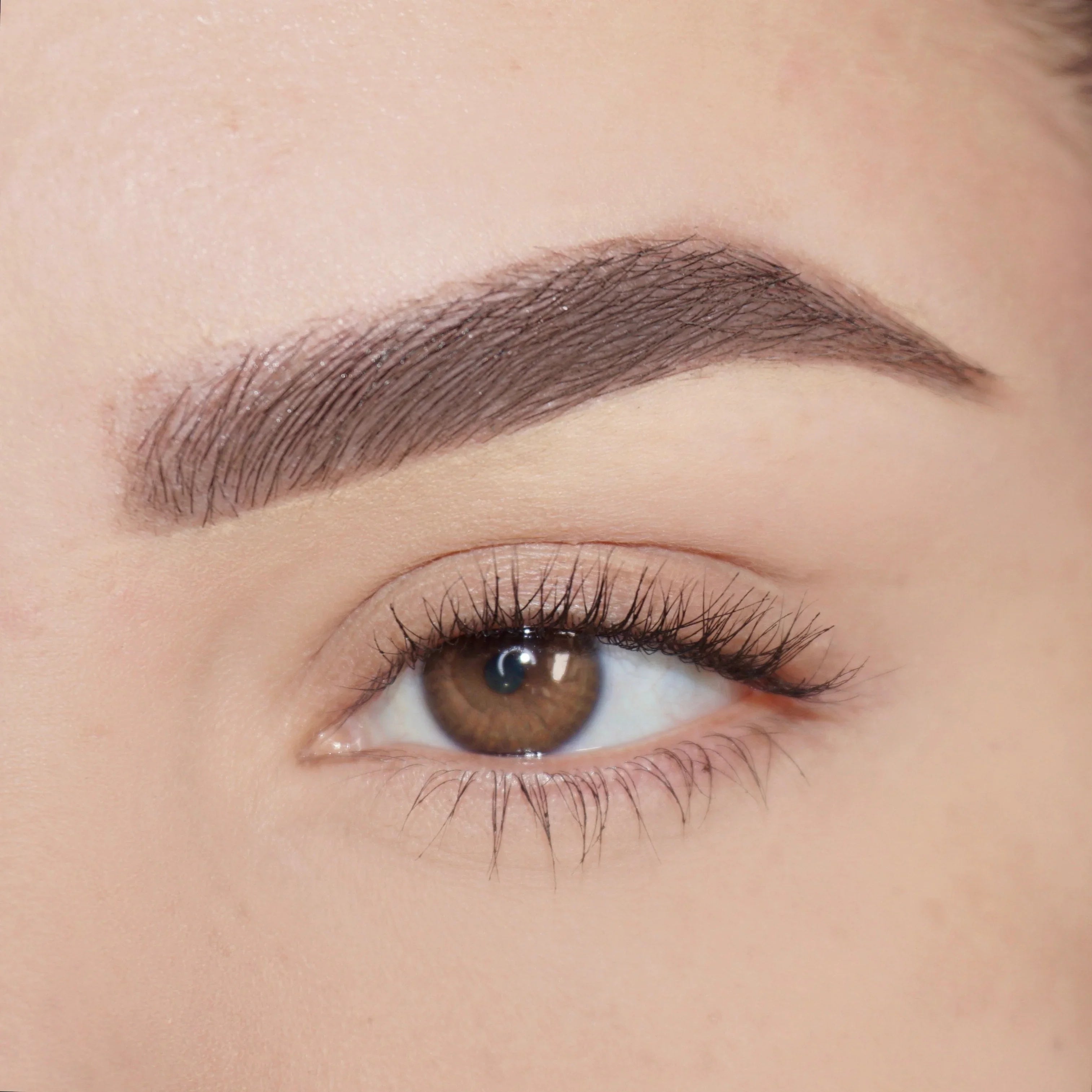 Pink Lipps Co Brow'd Up Brow Pencil