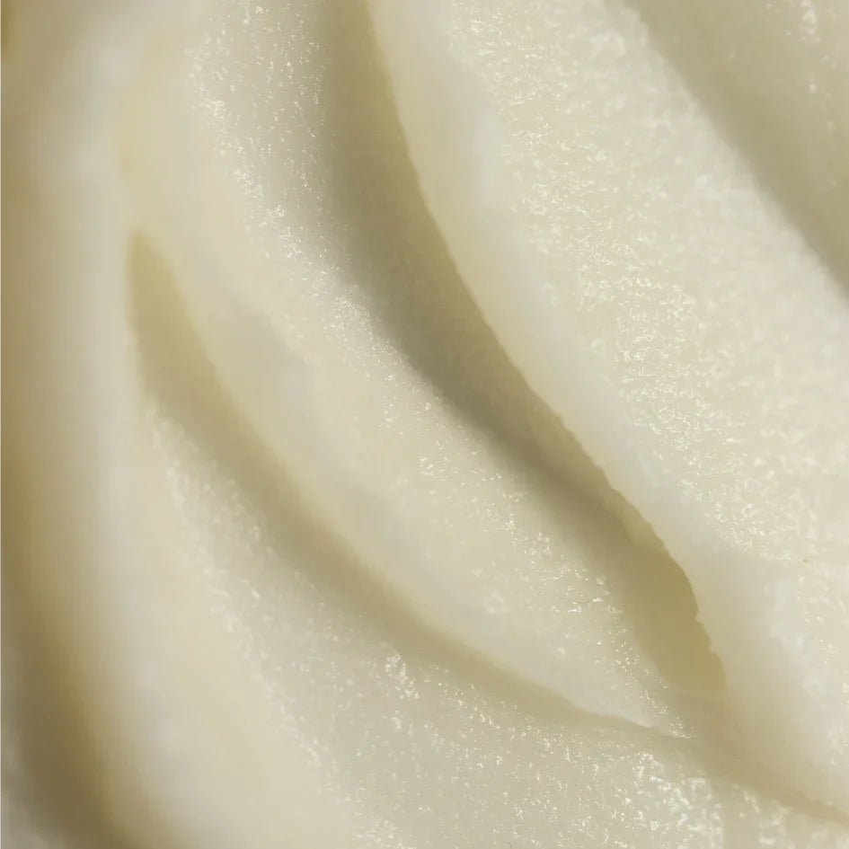 Tallow Me Pretty Tallow and Honey Balm - 3pk