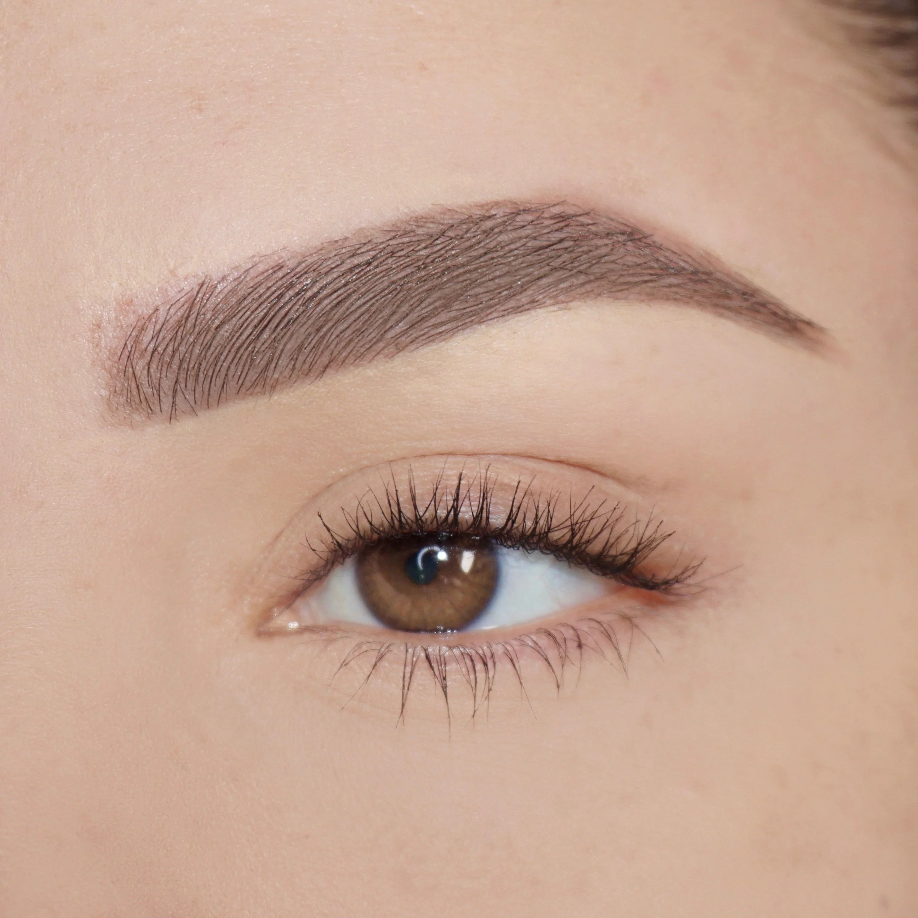 Pink Lipps Co Brow'd Up Brow Pencil