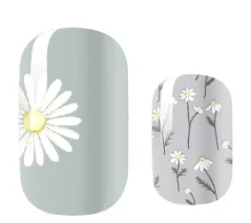 Candied Nails White Daisy Days