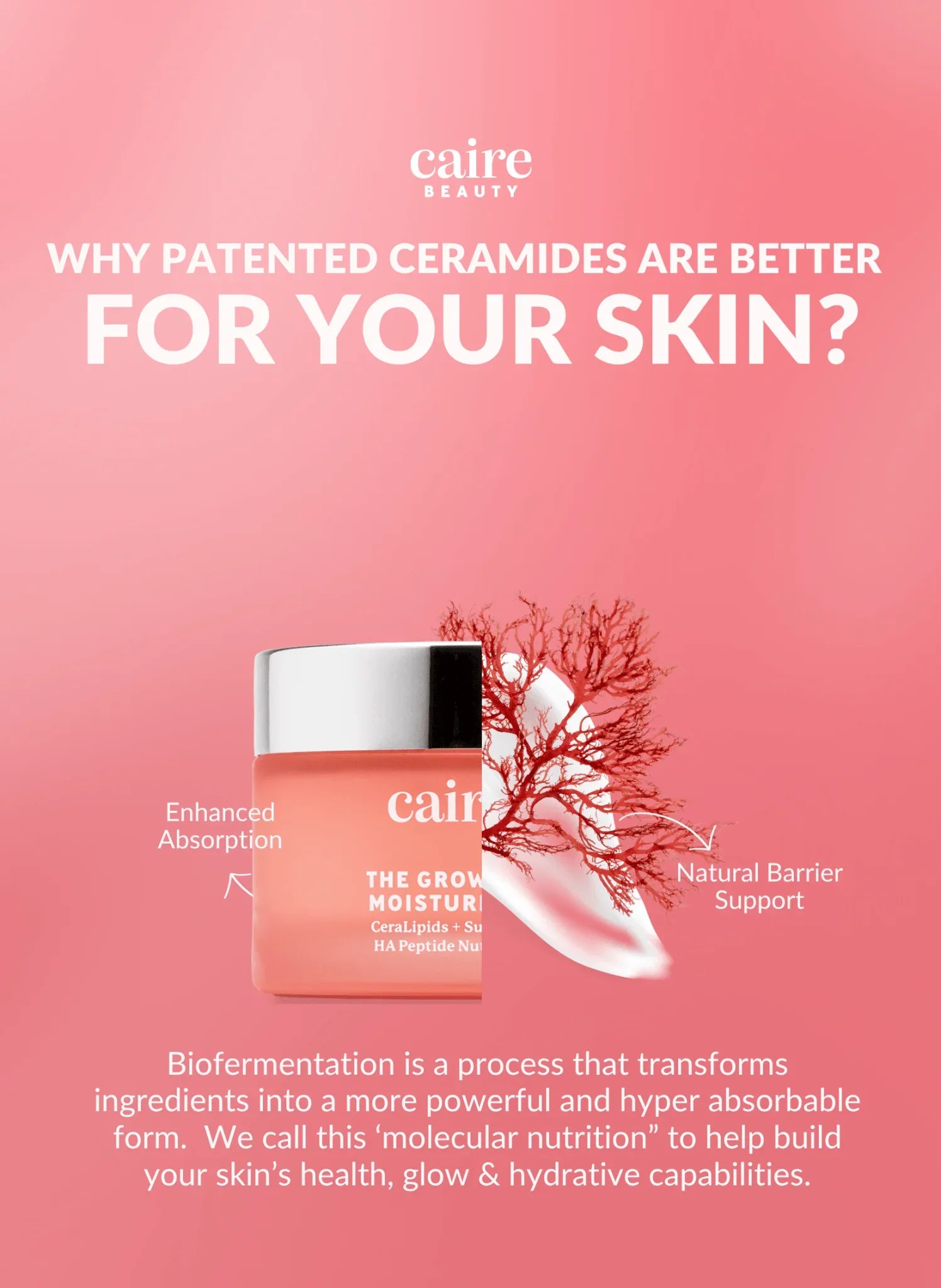 Caire Beauty Best Moisturizer for Mature Skin