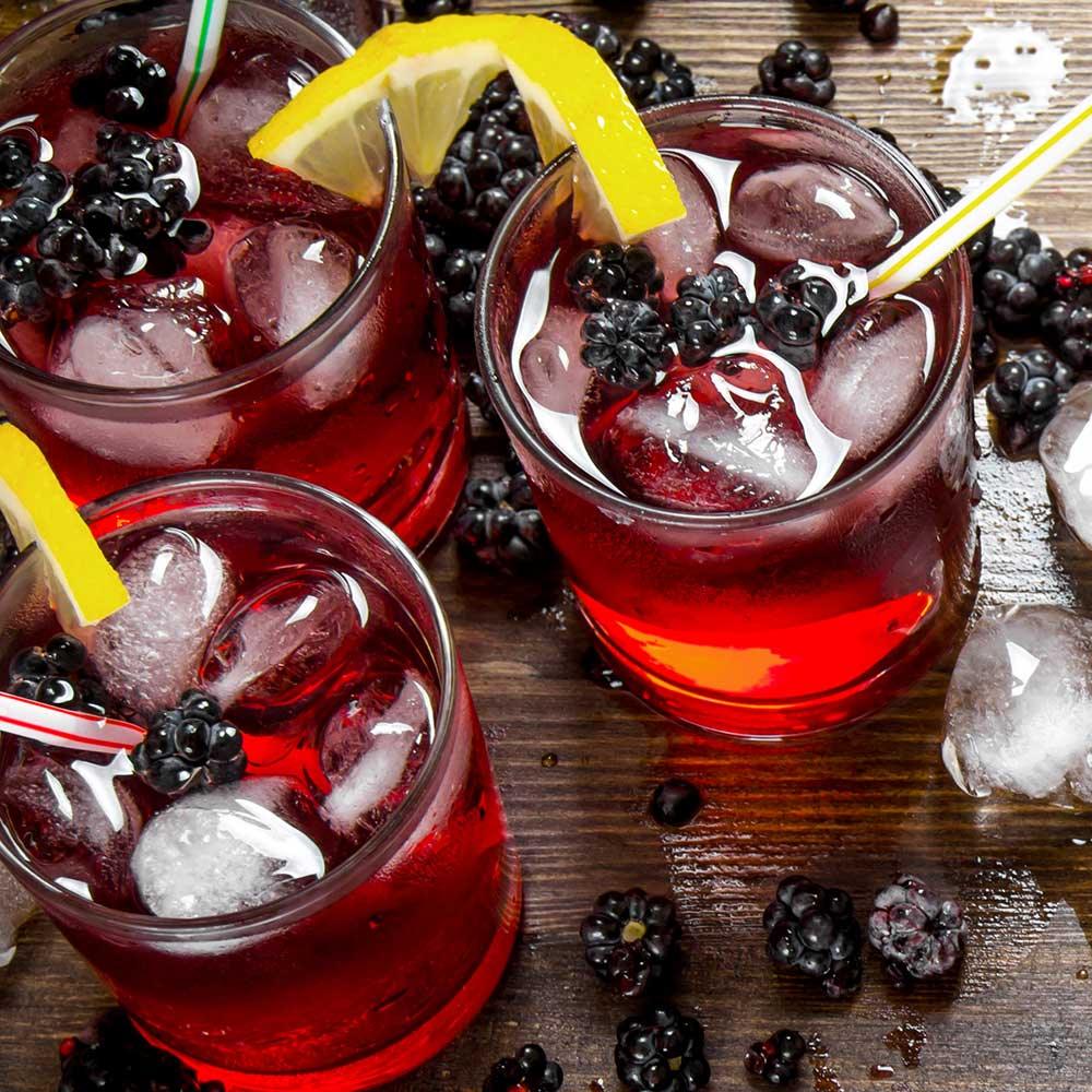 EXOH Blackberry Lemonade Lip Balm