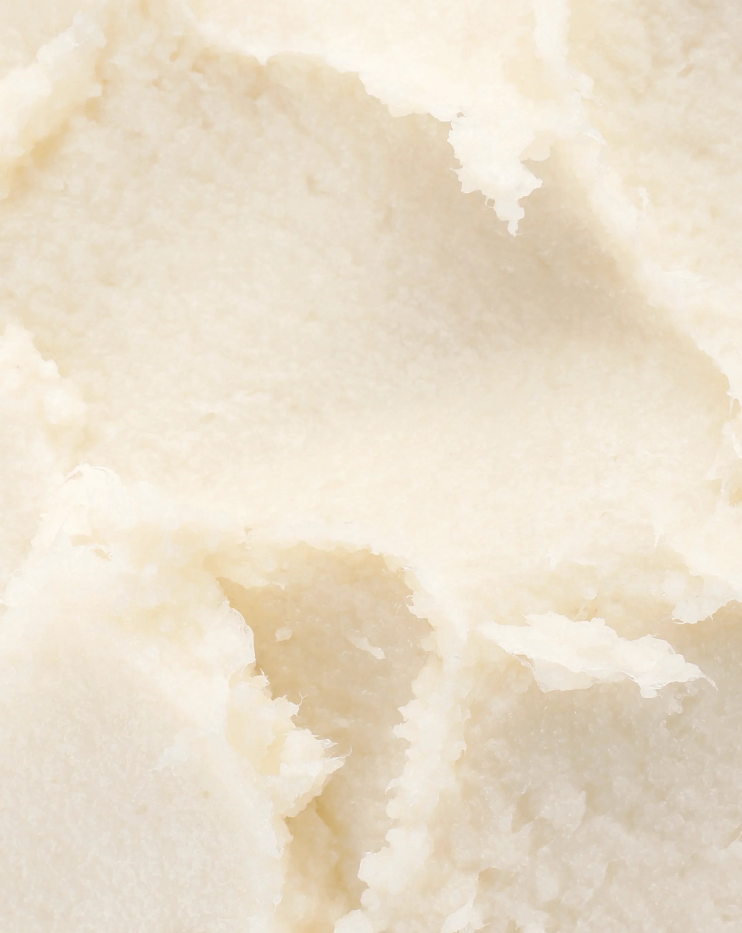 Wild Haven Skin CAKE BALM / vanilla bean
