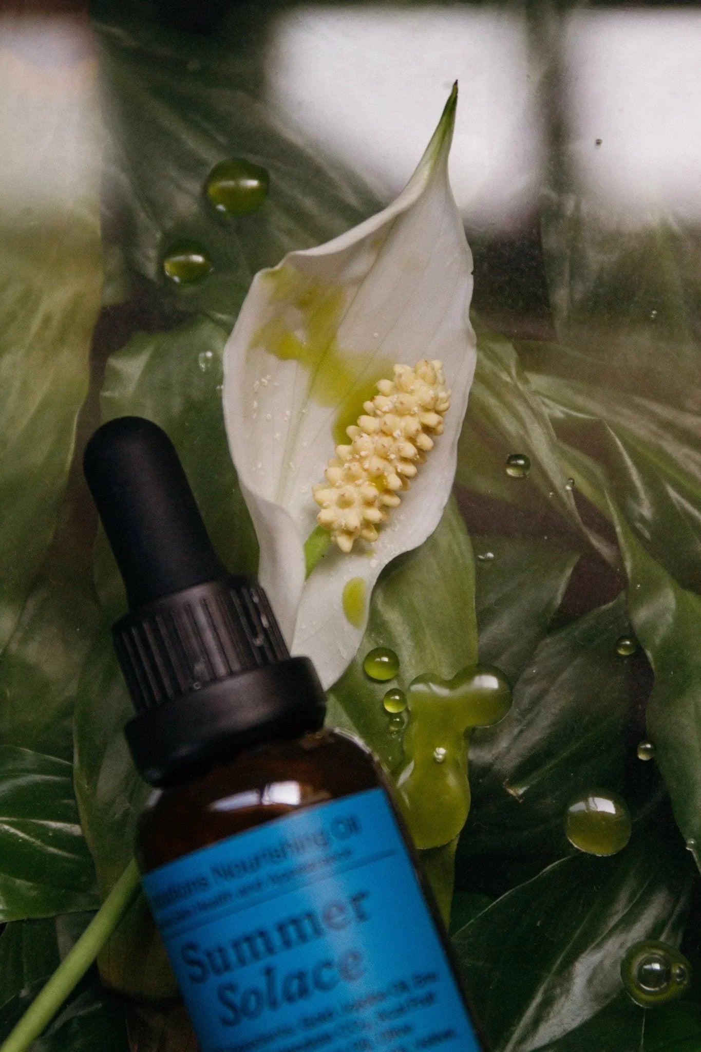 Summer Solace Tallow Emanations Profound Face Oil – Deeply Nourishing Tallow, Emu Oil, Champa, Tuberose & White Ginger Lily