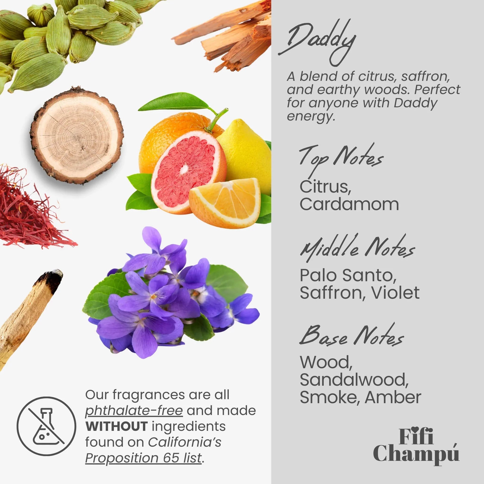 Fifi Champú Daddy Conditioner Bar