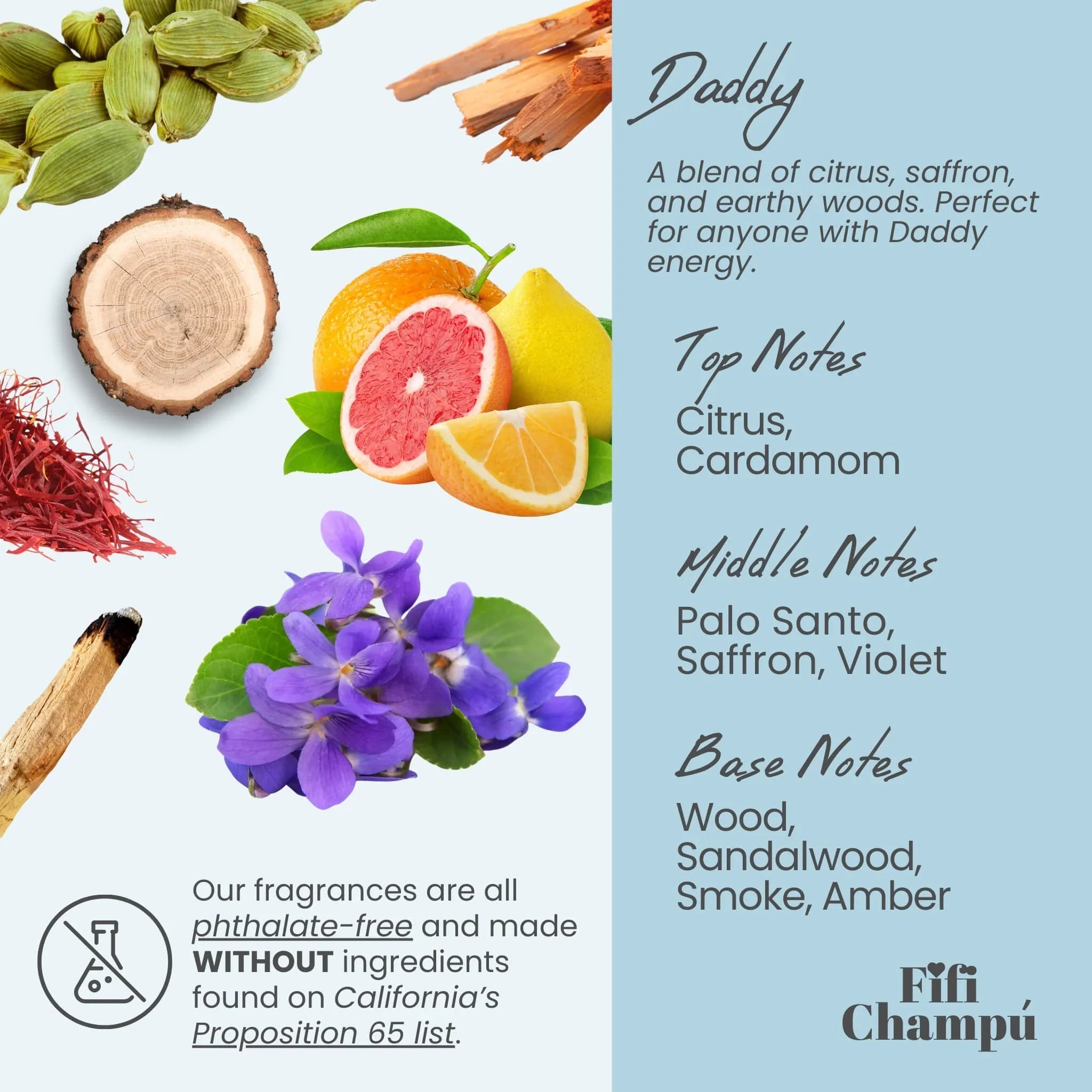 Fifi Champú Daddy Shampoo Bar