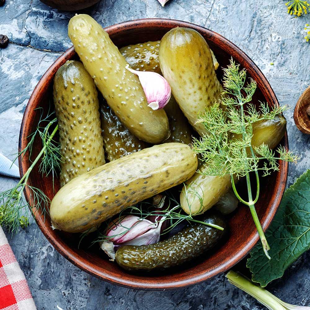 EXOH Fresh Dill Pickle Lip Balm