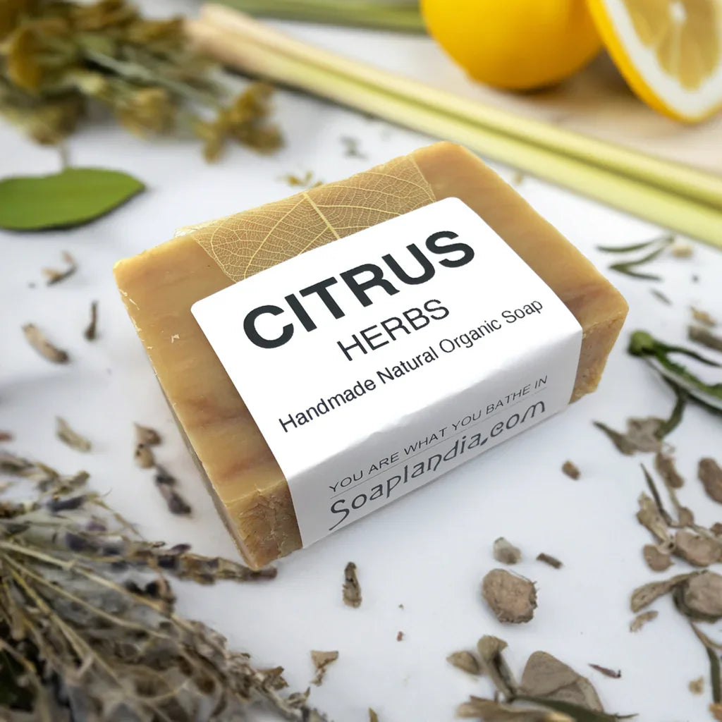 Soaplandia Citrus Herbs Bar Soap, Organic