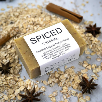 Soaplandia Spiced Oatmeal Bar Soap, Certified Organic - Image 1