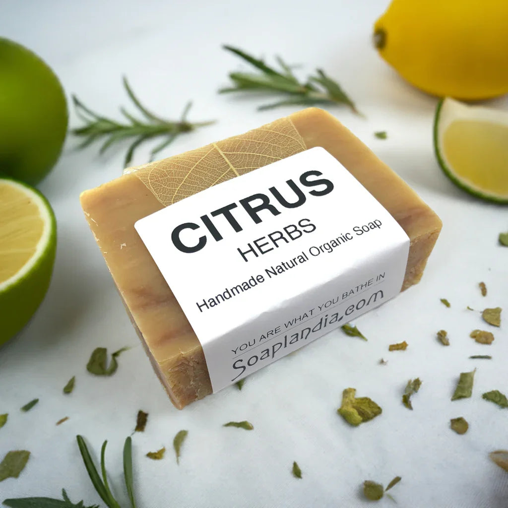 Soaplandia Citrus Herbs Bar Soap, Organic
