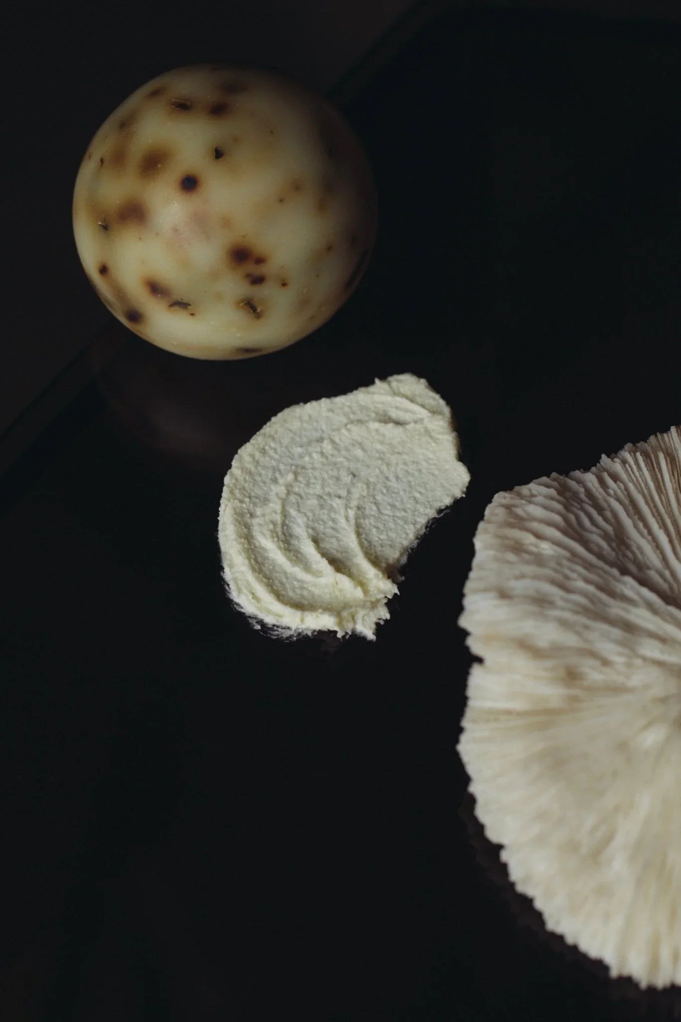 Summer Solace Tallow Imperfect Tallow Soap – Artisan Seconds