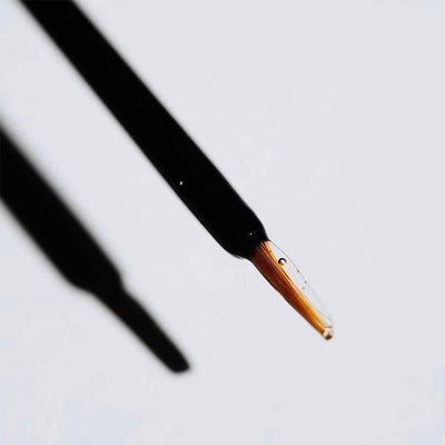 Lash Affair Lashgasm | Lash + Brow Serum - Image 2