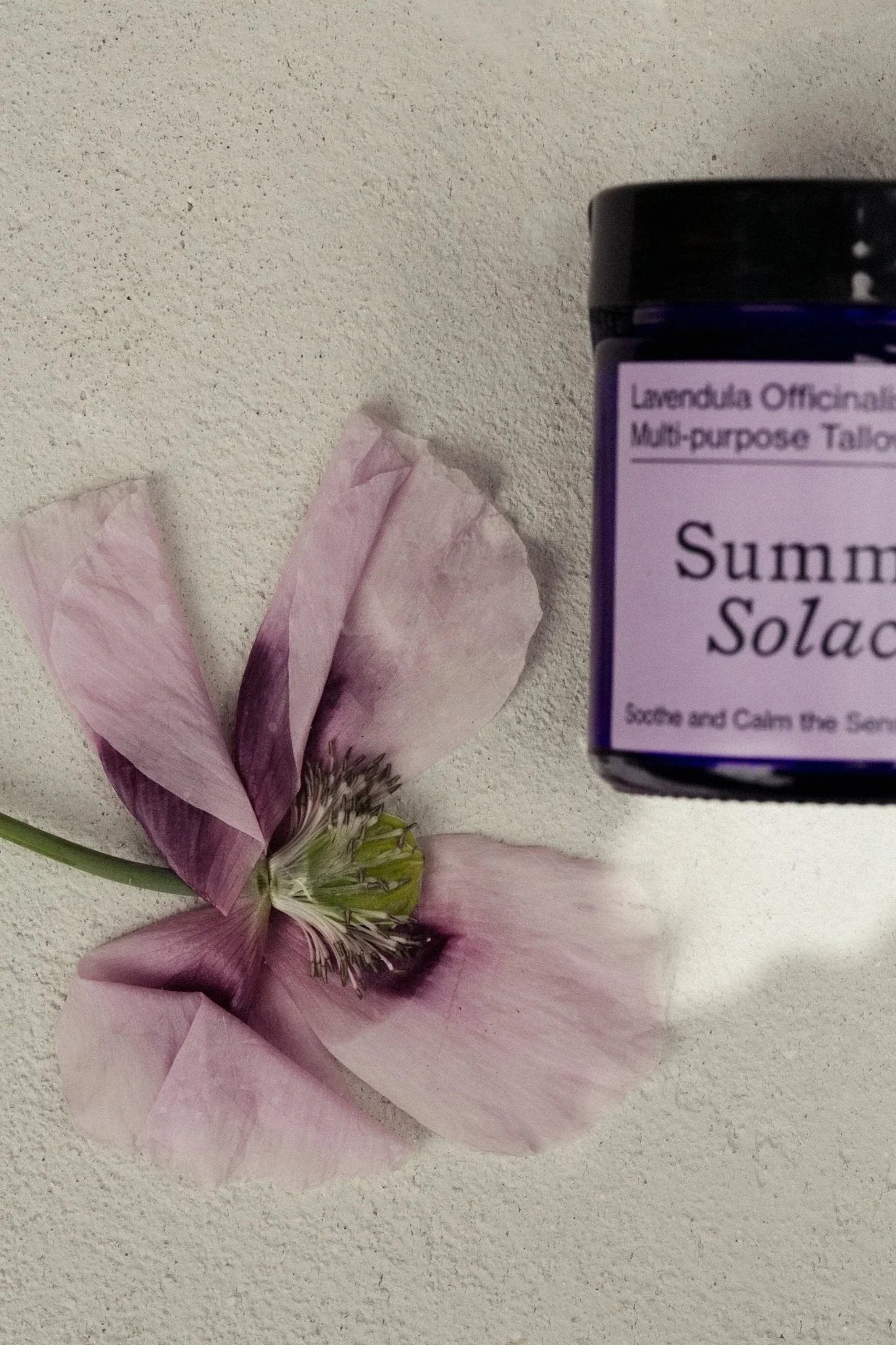 Summer Solace Tallow Lavendula Balm – Calming Floral Blend | Lavender & Golden Champa